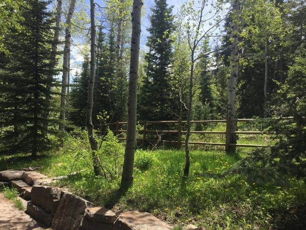 Cozy 6-Bed Park City Vacation Rental with Private Hot Tub