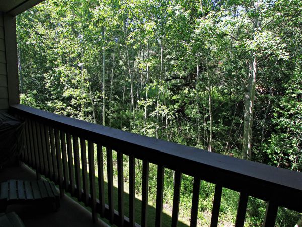 Park City Deer Valley Canyons Resort Condo 996382