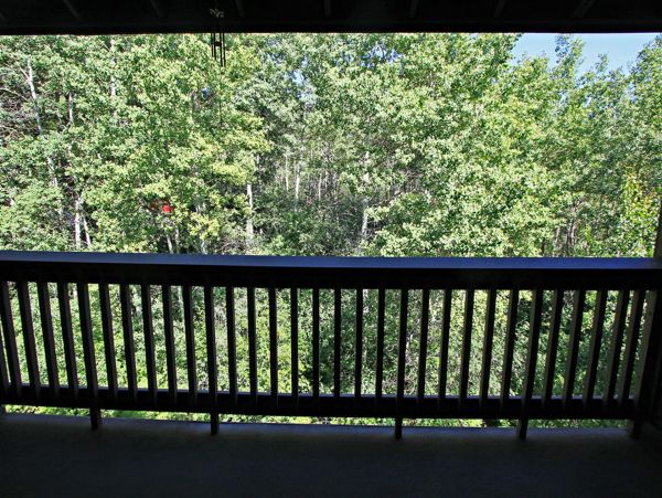 Park City Deer Valley Canyons Resort Condo 996390