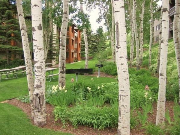 Park City Ski in Ski Out Access Award Winning Amenities.