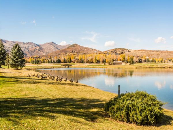 Park City Deer Valley Canyons Resort Home 996630
