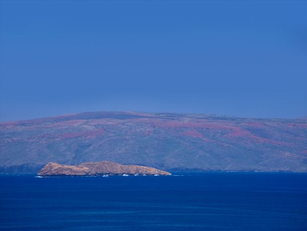 Luxury Vacation Penthouse with Ocean Views 6 Guests