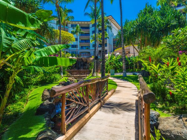Luxury Vacation Penthouse with Ocean Views 6 Guests