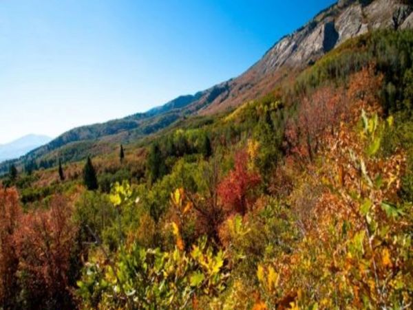 Park City Deer Valley Canyons Resort Home 996764