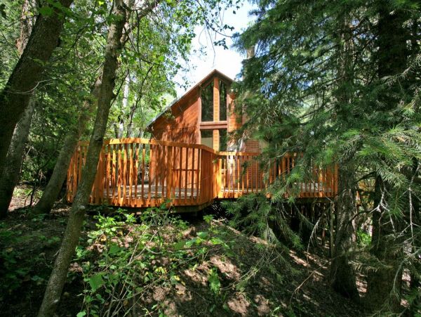 Great Cabin the Perfect Blend of Rustic Charm & Modern Conveniences