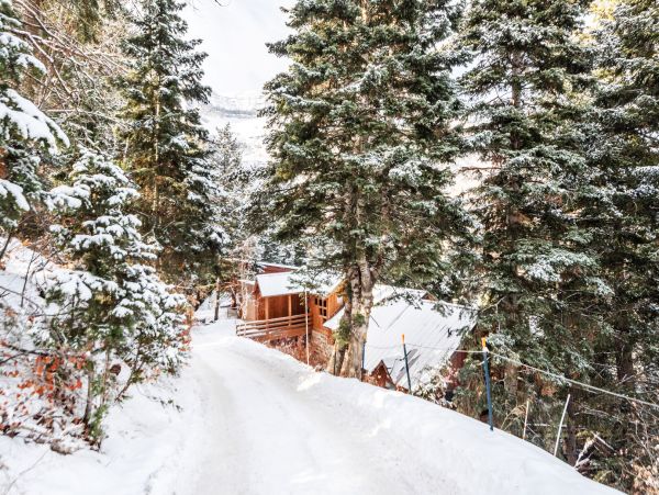 Sundance Home 996786