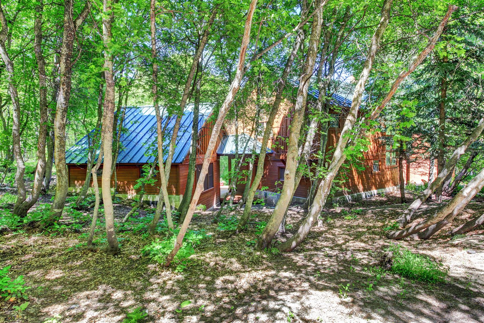 Sundance Home 996800