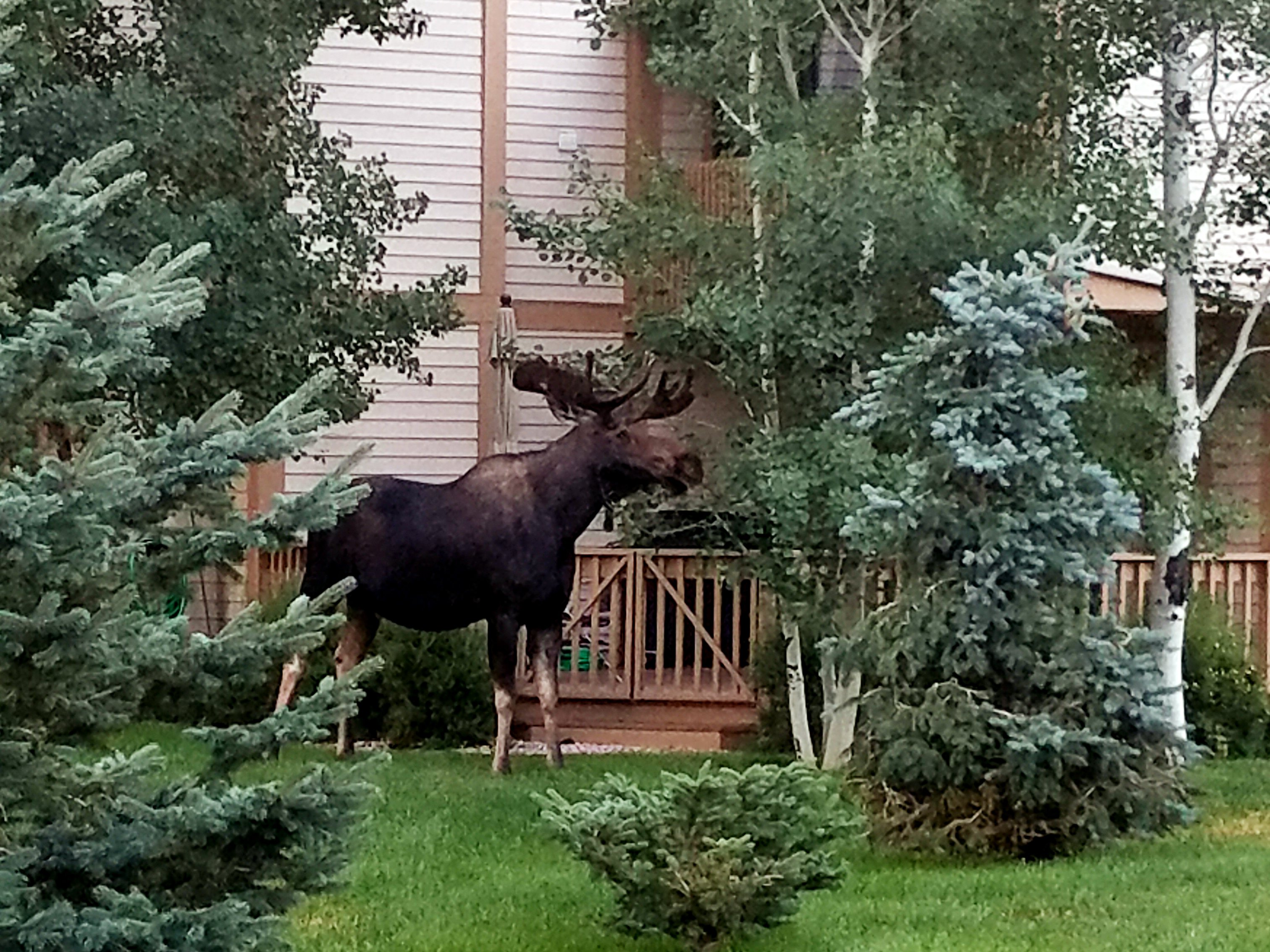 Park City Deer Valley Canyons Resort Home 996824