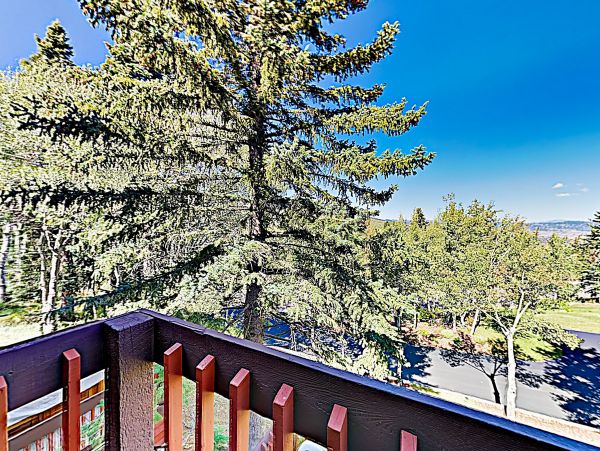 Park City Deer Valley Canyons Resort Home 996848