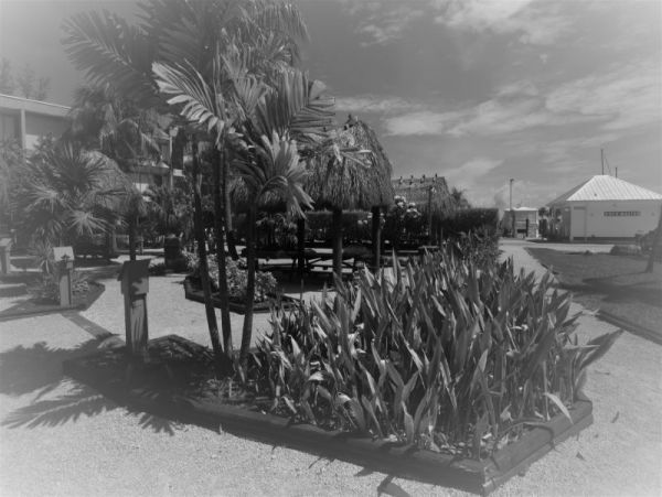 The Florida Keys Condo 996977