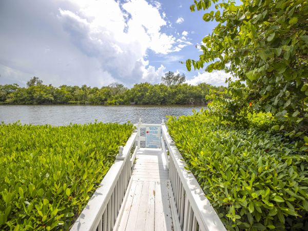 Siesta Key 10 Large 1 Bedroom Units Private Dock Lagoon View