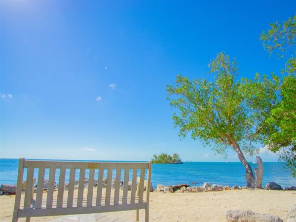 The Florida Keys Condo 997002
