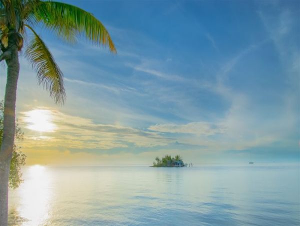 The Florida Keys Condo 997004