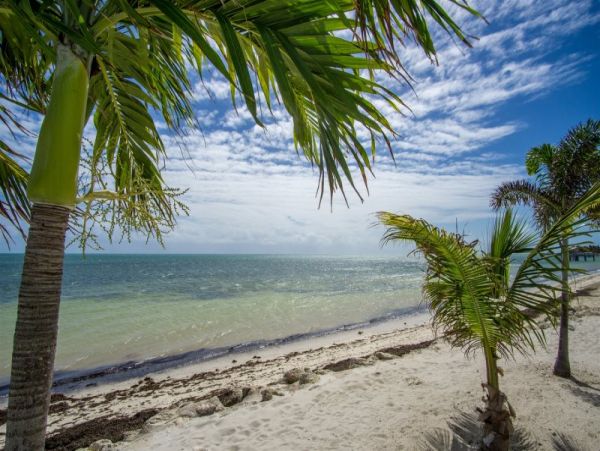 The Florida Keys Condo 997033