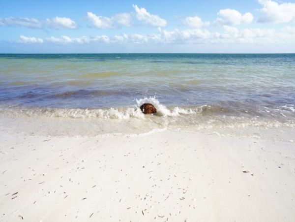 The Florida Keys Condo 997033