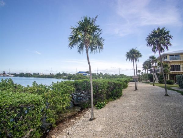 The Florida Keys Condo 997077