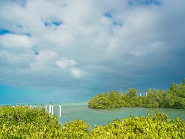The Florida Keys Condo 997137