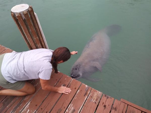 The Florida Keys Home 997147