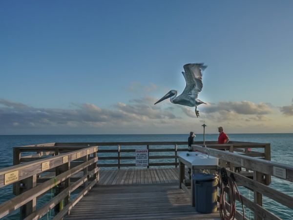 The Florida Keys Condo 997187