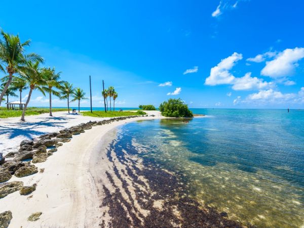 Ocean Views Marathon Vacation Pool Home Four Bedrooms