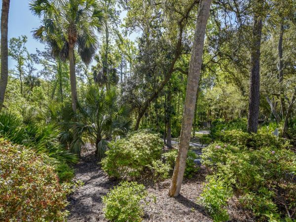 Hilton Head Condo 997281