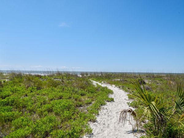 Spacious Second-Row Hilton Head Beach Retreat - Private Pool, Steps to the Send