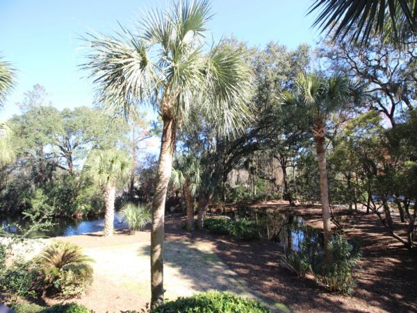 Hilton Head Condo 997291
