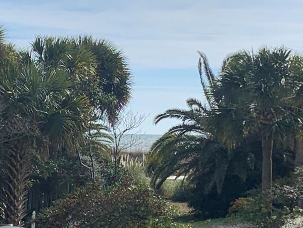 Amazing 3 Bedroom Oceanfront Condo