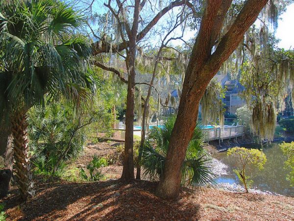 Hilton Head Condo 997324