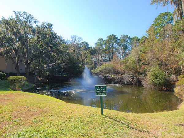 Hilton Head Condo 997324