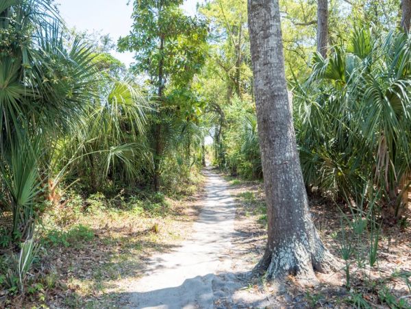 Hilton Head Home 997330