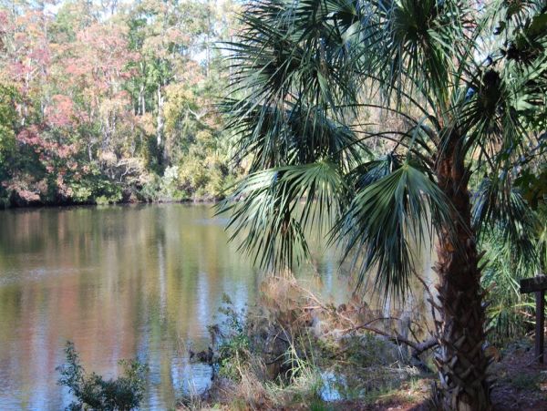 Hilton Head Home 997333
