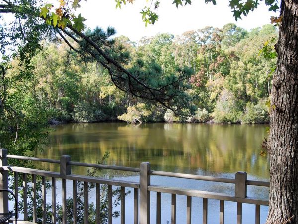 Hilton Head Home 997333