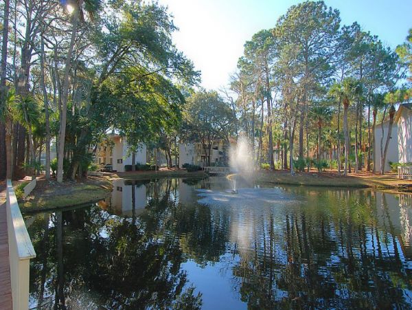 Hilton Head Condo 997335