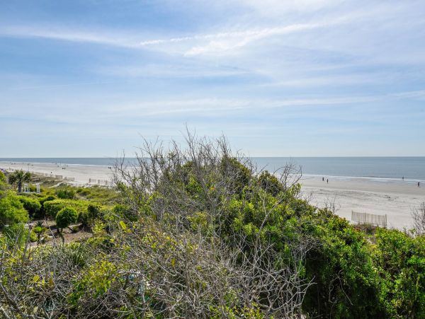 Luxurious Beachfront Vacation Rental in Hilton Head