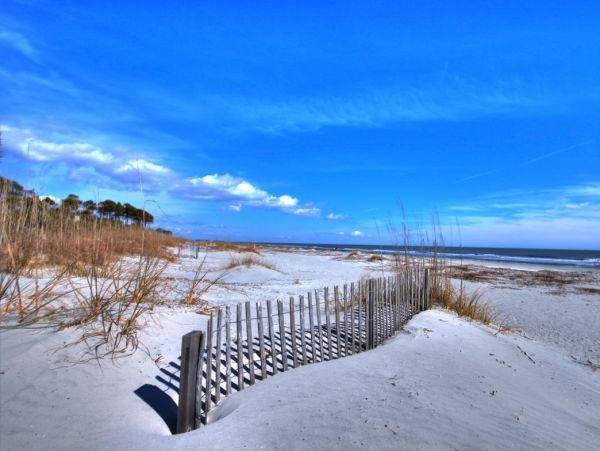 North Forest Beach Luxury 4th Row Home Away from Home