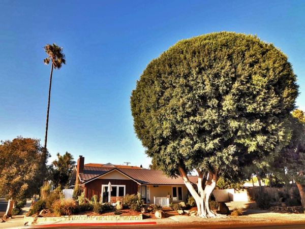 Santa Barbara County Home 997377