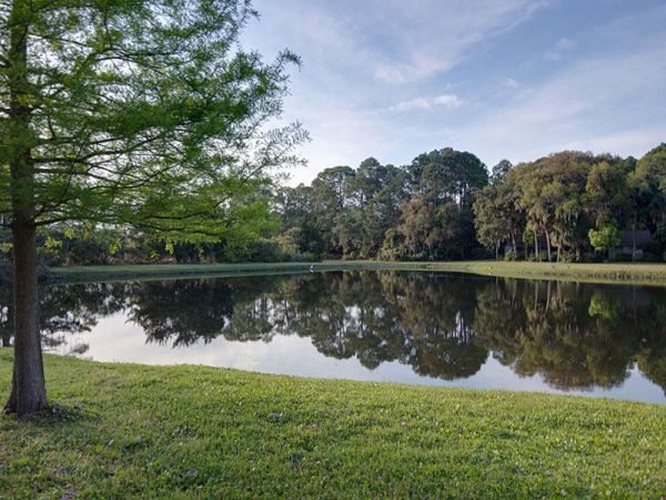 Hilton Head Home 997393