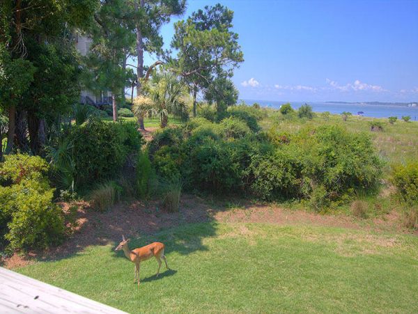 Hilton Head Condo 997401