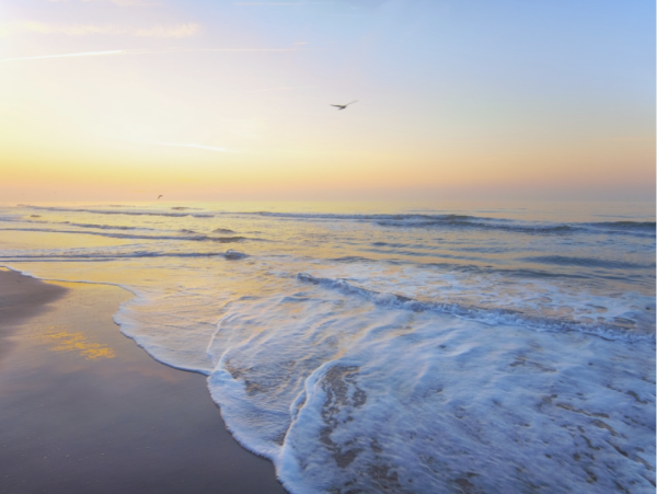 Main Villa Plus Guest House Sea Pines Hilton Head