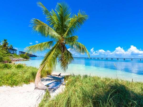 Beautiful Sugarloaf Key Vacation Pool Villa 8 Bedrooms
