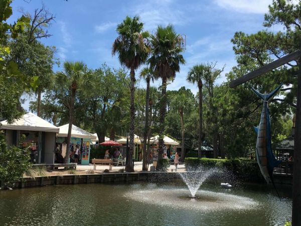 Hilton Head Home 997637