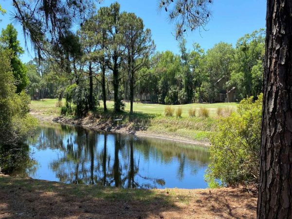 Hilton Head Condo 997641