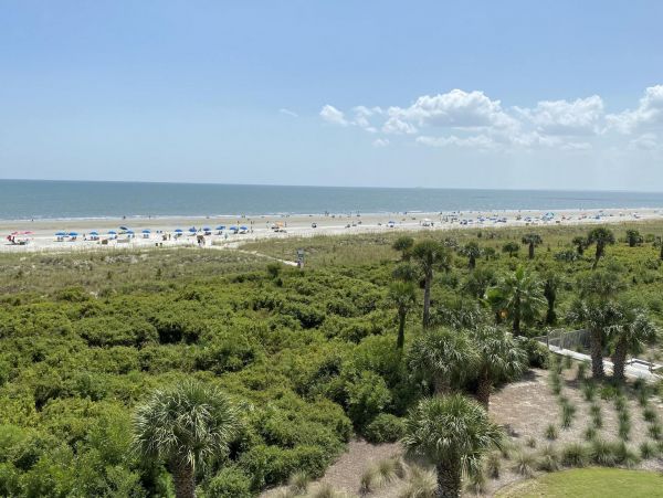 Hilton Head Condo 997646