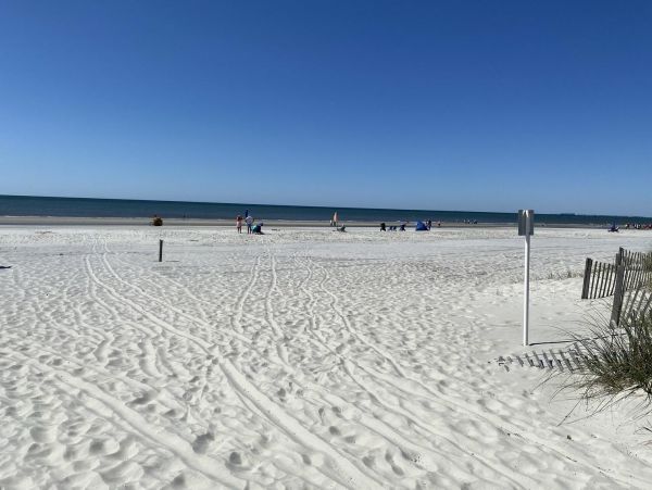 Hilton Head Condo 997648