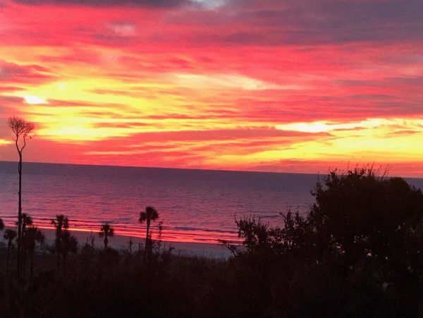 Hilton Head Condo 997657