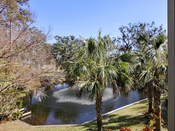 Hilton Head Home 997664
