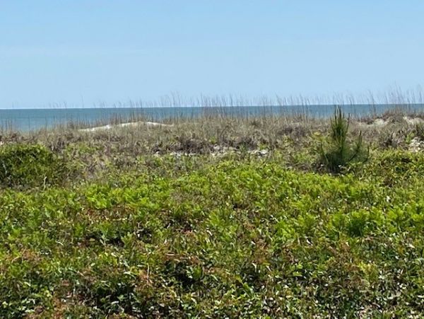 Hilton Head Condo 997666