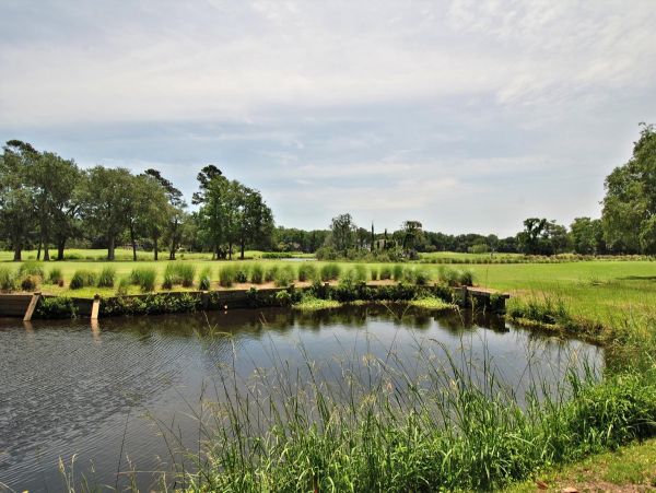 Hilton Head Condo 997674