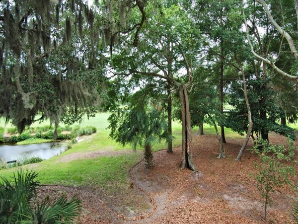 Hilton Head Condo 997674